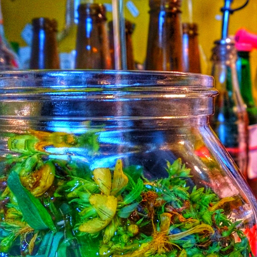johanniskraut im Glas